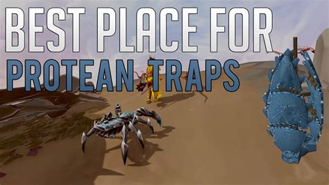 After a player sets up a box trap, they will automatically walk one square west to stand next to the trap. . Protean traps rs3